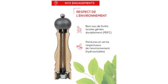 Moulin à sel PEUGEOT PARIS u select Z naturel 12cm