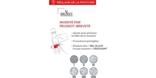 Moulin à sel PEUGEOT PARIS u select Z naturel 12cm