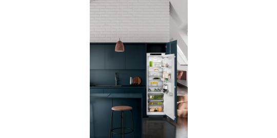 Réfrigérateur 1 porte encastrable LIEBHERR IRBSd5120-22 BioFresh