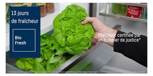 Réfrigérateur 1 porte encastrable LIEBHERR IRBAc5190-22 BioFresh