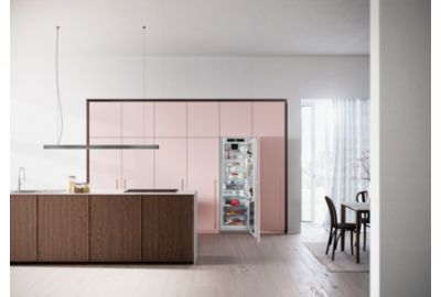 Réfrigérateur 1 porte encastrable LIEBHERR IRBci5180-22 BioFresh