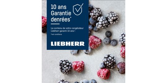 Congélateur armoire LIEBHERR FNe4204-22