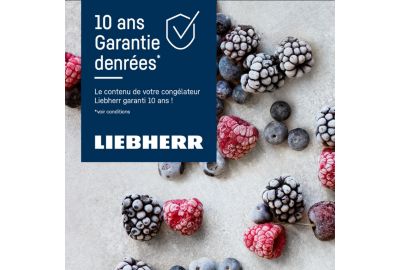 Congélateur armoire LIEBHERR FNsdd529i-22