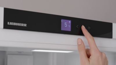 Voir la vidéo pour Réfrigérateur combiné LIEBHERR CNDGC5703