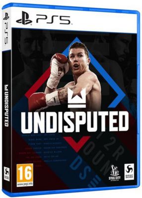 Jeu PS5 DEEP SILVER Undisputed