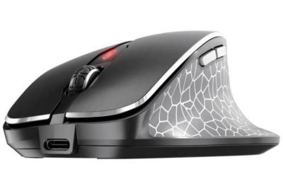 Souris sans fil CHERRY MW 8C ERGO