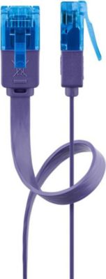 Câble Ethernet GOOBAY Câble RJ45 Cat6a plat Vio violet 50cm
