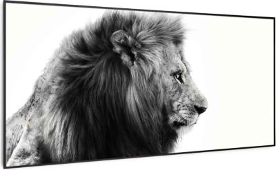 KLARSTEIN Wonderwall Air Art lion 60x120cm 700W