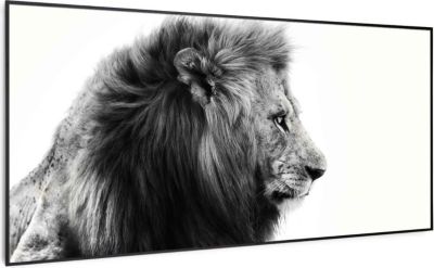 KLARSTEIN Wonderwall Air Art lion 60x120cm 700W