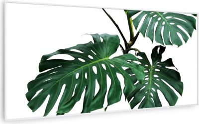 KLARSTEIN Wonderwall Air Art feuille 120x60cm 700W