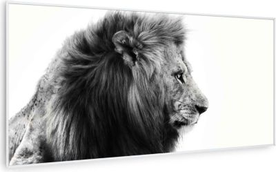 KLARSTEIN Wonderwall Air Art lion 60x120cm 700W