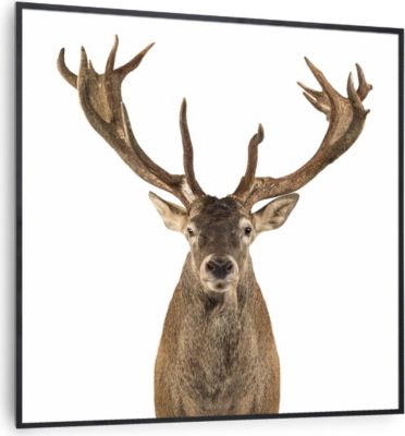 KLARSTEIN Wonderwall Air Art cerf 60x60cm 350W