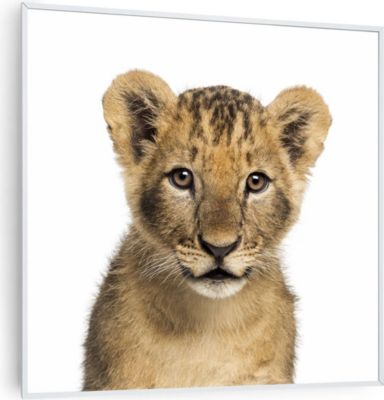 KLARSTEIN Wonderwall Air Art lion 60x60cm 350W