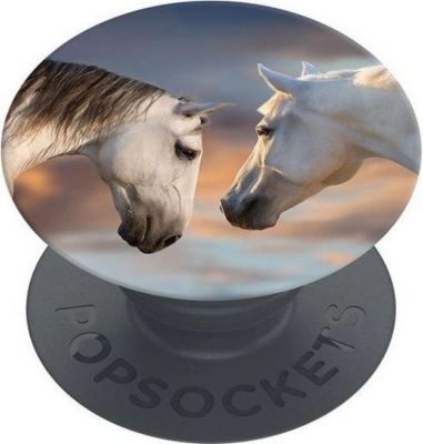 Poignée POPSOCKETS 4062519700808