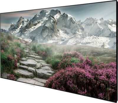 Ecran de projection CELEXON sur cadre SlimFrame 203x114, 92"