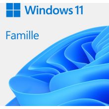 Logiciel de bureautique MICROSOFT Windows 11 Famille Téléchargement