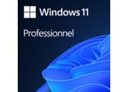 Logiciel de bureautique MICROSOFT Windows 11 Professionnel Telechargement