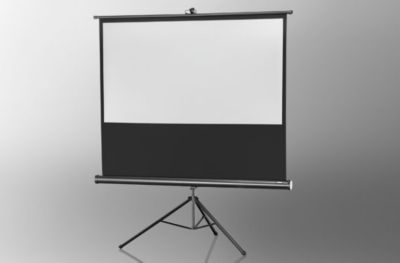 Ecran de projection CELEXON Economy 219 x 123 cm