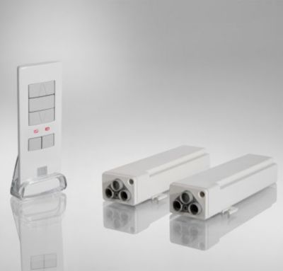 Télécommande CELEXON Kit télécommande 2 canaux série Expert