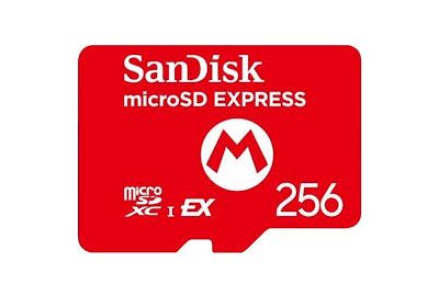Carte Micro SD SANDISK Express 256 go
