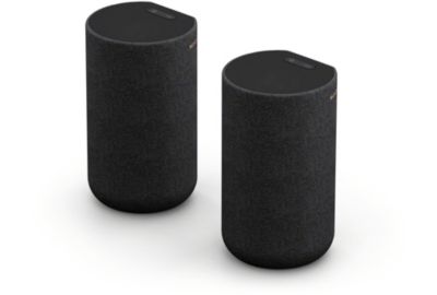 Kit enceinte surround SONY Enceintes arrières SARS5 x2
