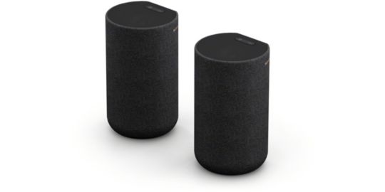 Kit enceinte surround SONY Enceintes arrières SARS5 x2