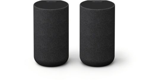 Kit enceinte surround SONY Enceintes arrières SARS5 x2