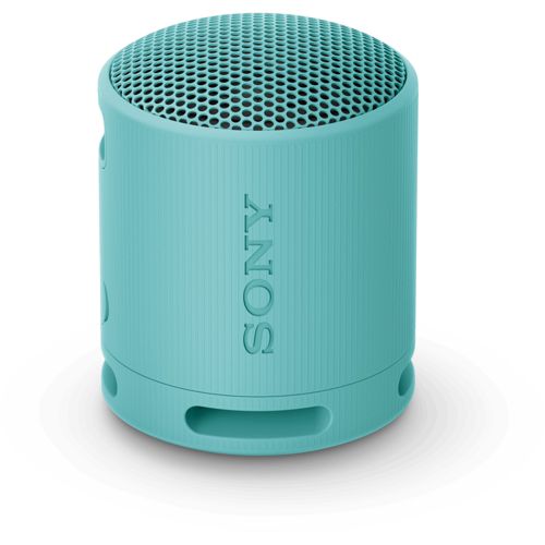 Sony SRS-XE300 Enceinte Bluetooth fonction mains libres, étanche à la  poussière, portable, étanche à l'eau gris livraison gratuite