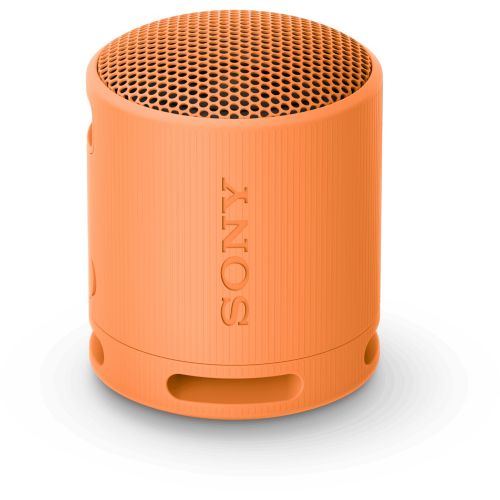 Sony SRS-XE300 Enceinte Bluetooth fonction mains libres, étanche à la  poussière, portable, étanche à l'eau gris livraison gratuite