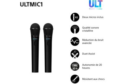 Micro SONY Pack de 2 MICRO SONY ULT