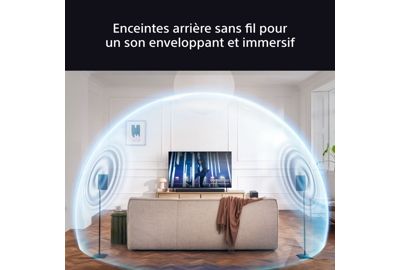 Kit enceinte surround SONY SARS8