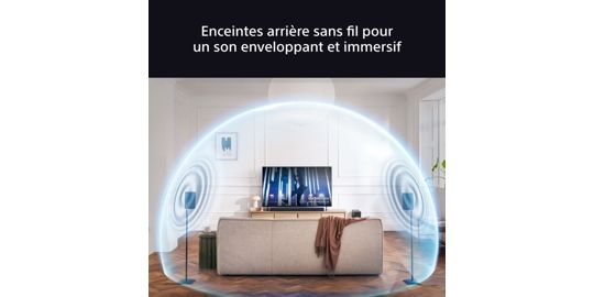 Kit enceinte surround SONY SARS8