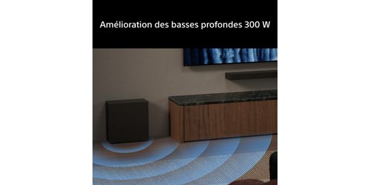Caisson de basse SONY Bravia Theatre Sub 8