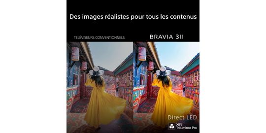 TV LED SONY 100BRAVIA3II (253cm)