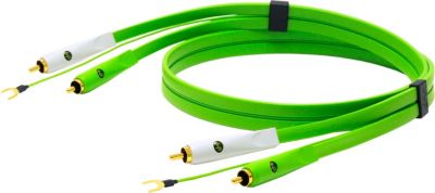  NEO BY OYAIDE OYACLASSBRCA2MTURNTA NEO BY OYAIDE OYACLASSBRCA2MTURNTA