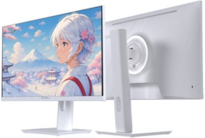 Ecran PC Gamer JAPANNEXT JN-IPS238G120F-HSP-PK Rose 24