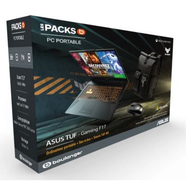 PC Gamer ASUS Pack F17-TUF766HM-HX101T Reconditionné