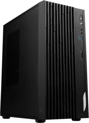 Unité centrale MSI PRO DP180 13TC-056EU