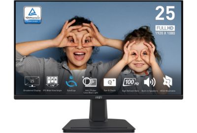 Ecran PC MSI PRO MP251 24