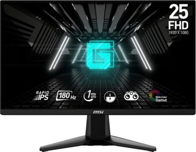 Ecran PC Gamer MSI G255F Plat 25