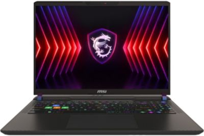 PC Gamer MSI Vector 16 HX A14VIG-299FR