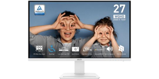 Ecran PC MSI PRO MP273QW E2 Plat 27