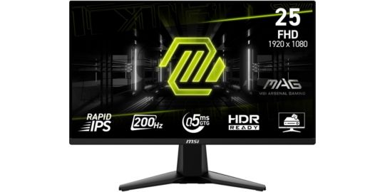 Ecran PC Gamer MSI MAG 255F E20 24
