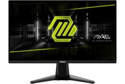 Ecran PC Gamer MSI MAG 255F E20 24