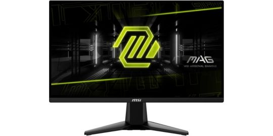 Ecran PC Gamer MSI MAG 255F E20 24