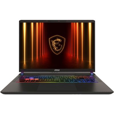 Location PC Gamer MSI Vector 16 HX AI A2XWHG-042FR