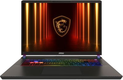 PC Gamer MSI Vector 17 HX AI A2XWJG-008FR