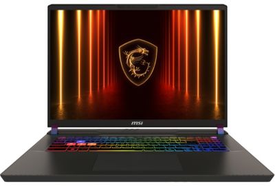 PC Gamer MSI Vector 17 HX AI A2XWJG-008FR