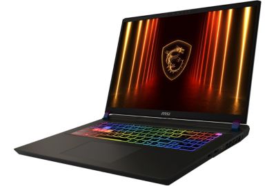 PC Gamer MSI Vector 17 HX AI A2XWJG-008FR