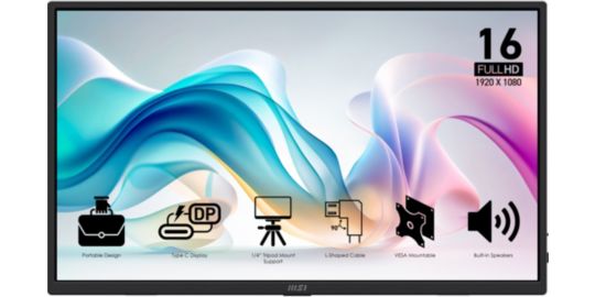 Ecran PC MSI PRO MP165 E6